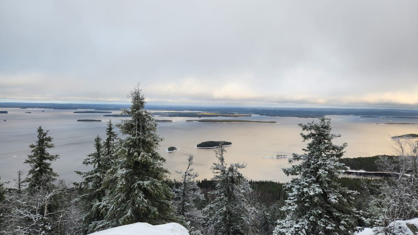 Image of Koli